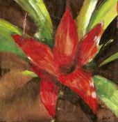 Konsuela Madejska-Turska: Guzmania dla mamy